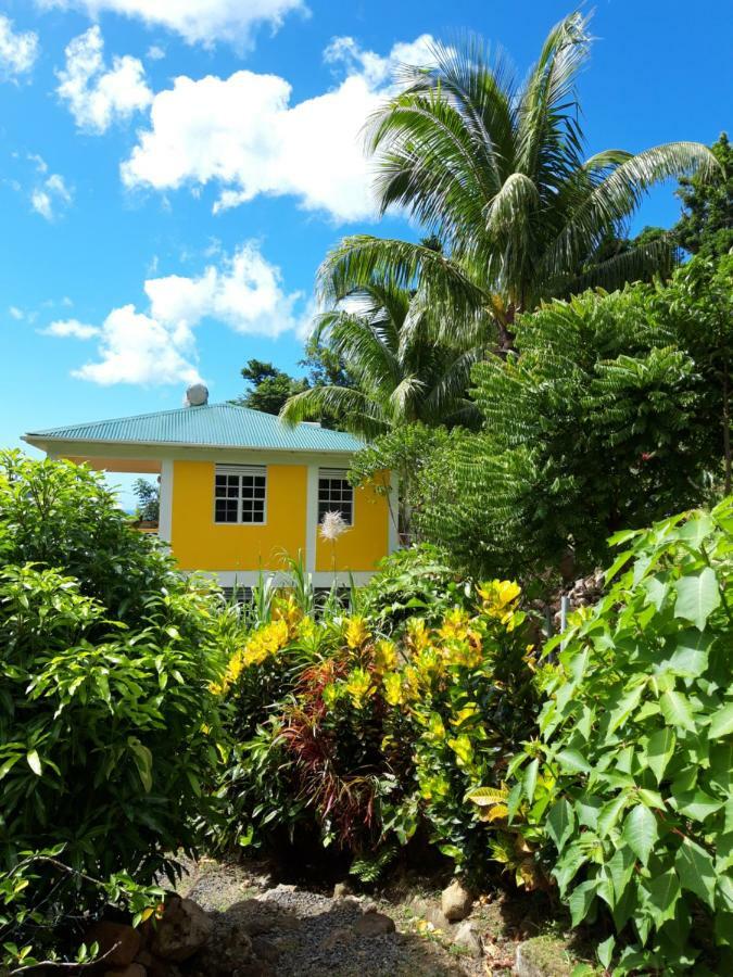Mango Garden Cottages Tanetane 外观 照片